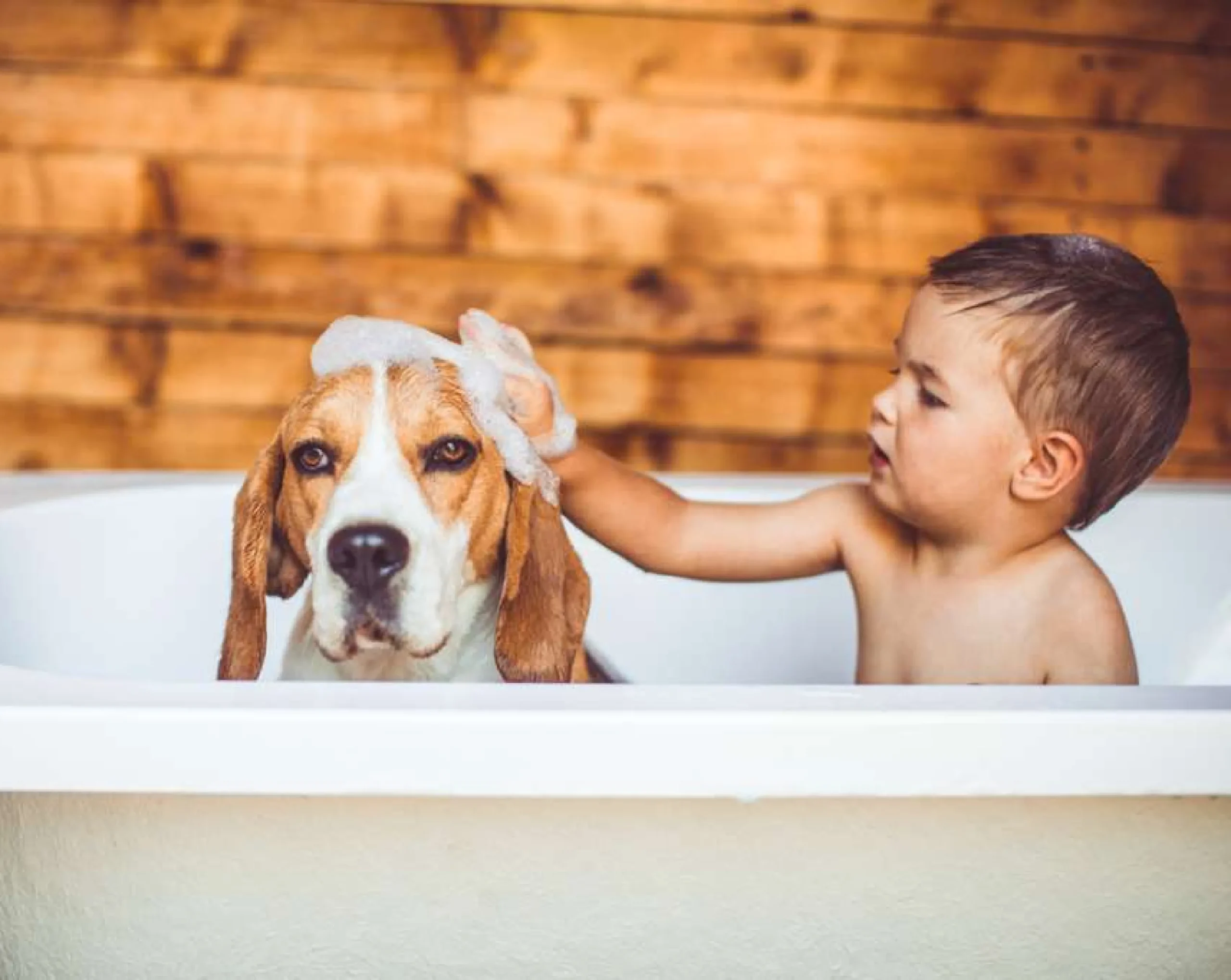 Whole-house water filtration system removing chlorine, chemicals, and minerals from municipal and well water in a Long Island home